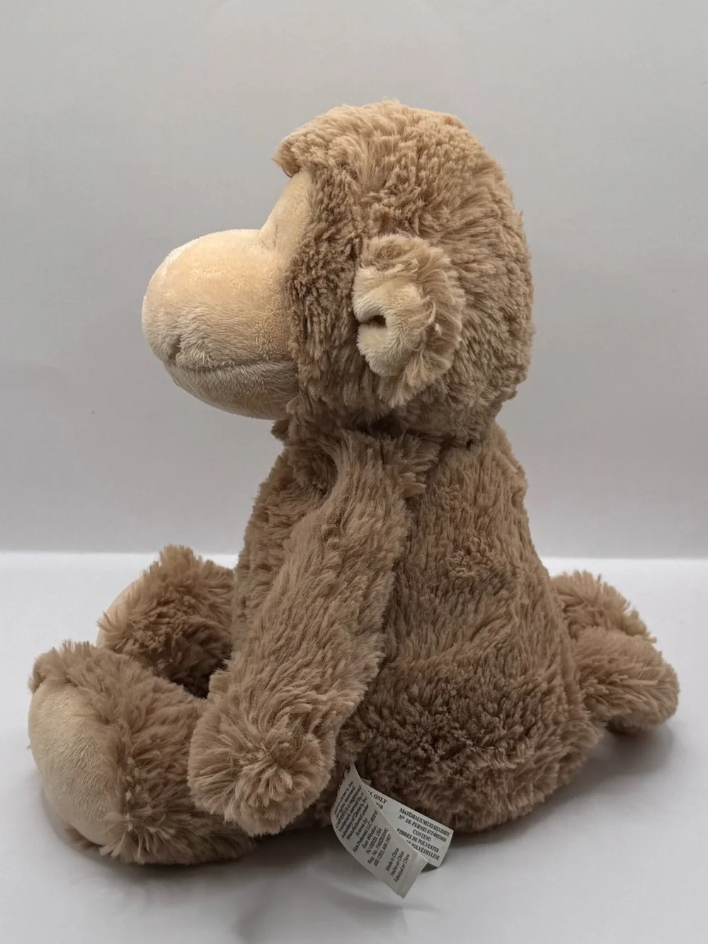 Carters carter monkey